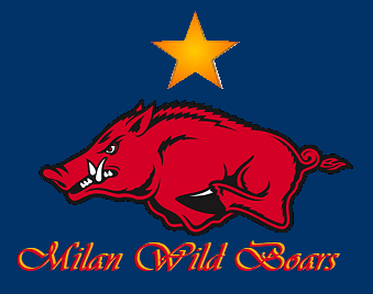 Milan Wild Boars logo, World League