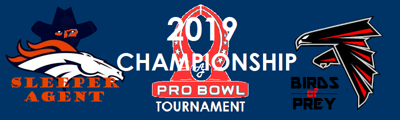 Pro Bowl 2019 Championship Banner
