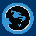 Perth Panthers, IFFL, AF International Federation Logo, 2020