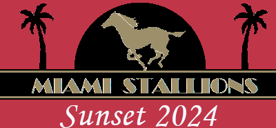 Miami Stallions Sunset